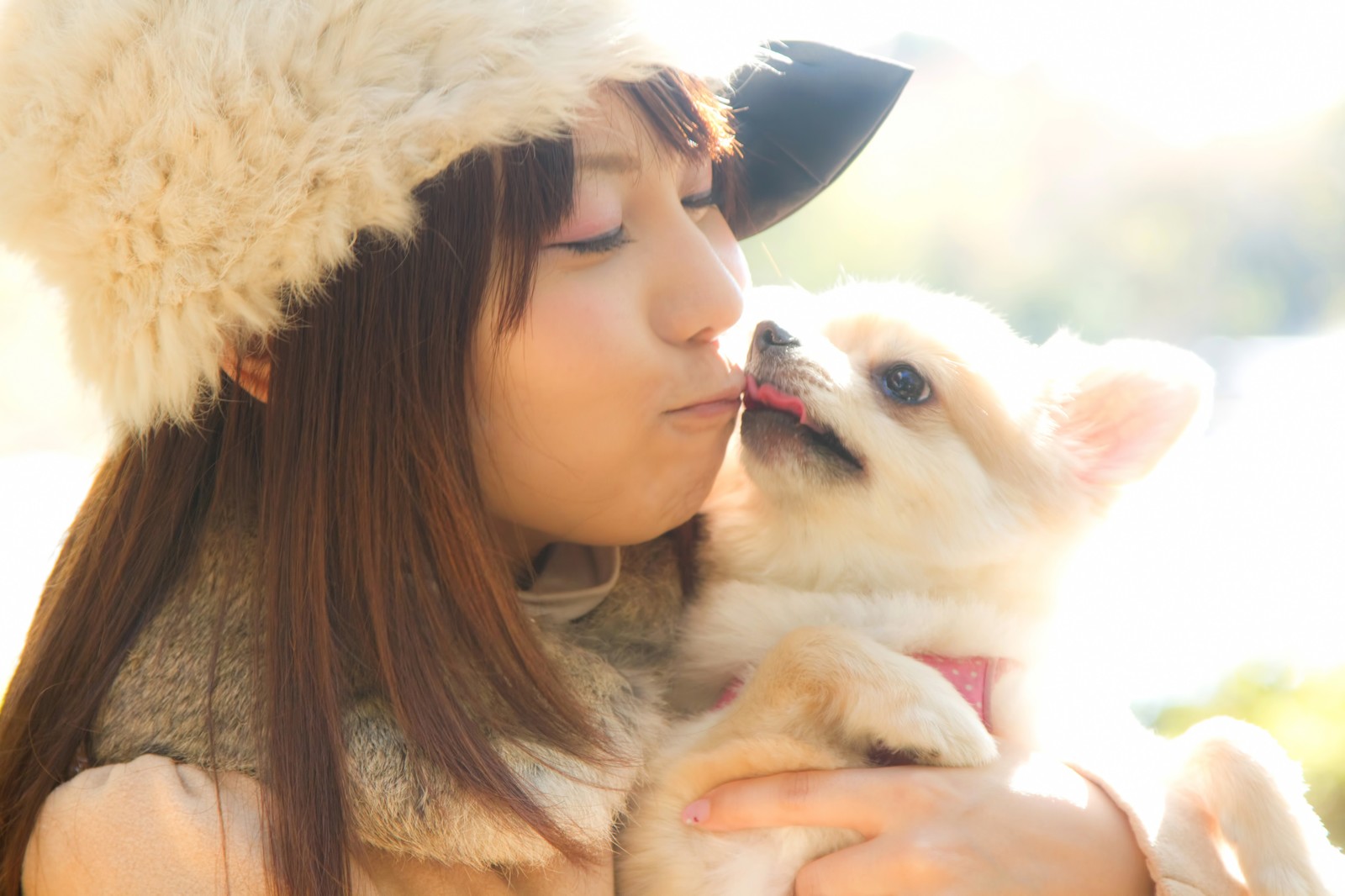 動物と遊ぶ女性