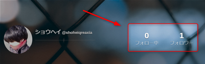 QREAXIAのフォロー数&フォロワー数